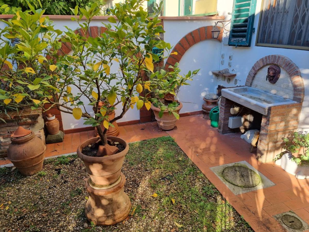 B&B Firenze 400 Екстер'єр фото